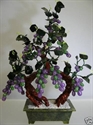 Picture of REAL LAVENDER JADE GRAPES TREE (20A-4) 
