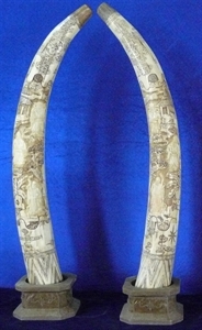 Picture of 40" Pair of Antique Bone Tusks - 3 Wisemen (F40-3wisemen)