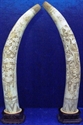 Picture of 28" Pair of Antique Bone Tusks- Dragon & PHoenix (F28-DF)