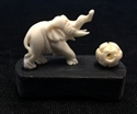Picture of Bone Single Elephant with Ball 9608