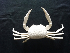 Picture of 9" Bone Crab 2000H