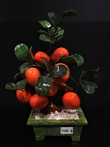 Picture of REAL JADE TANGERINES TREE (20B-3)